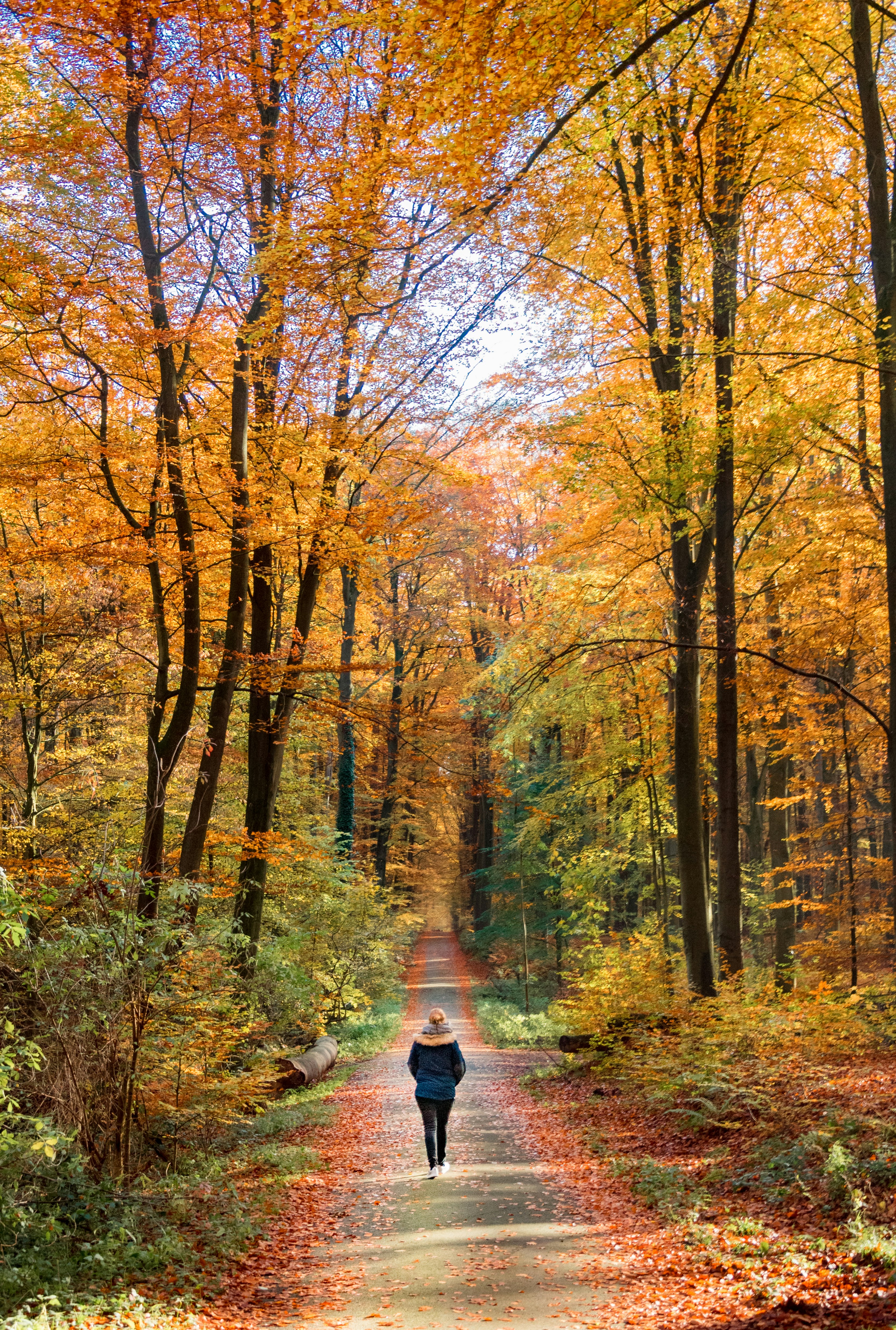 woman walking on road with trees on side